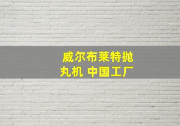 威尔布莱特抛丸机 中国工厂